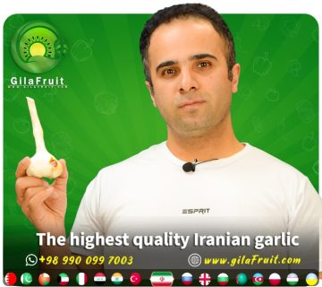Buy Iranian garlic