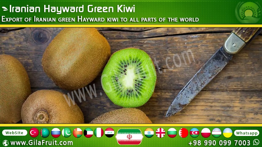 Hayward Green Kiwi