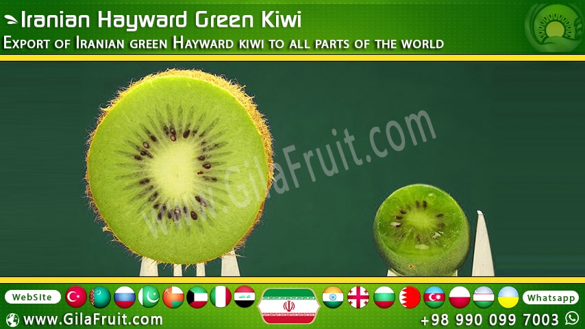 Hayward Green Kiwi iran