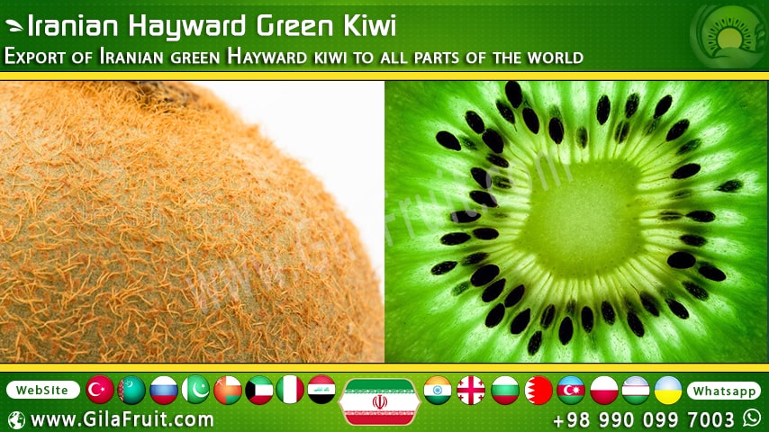 Iranian kiwi