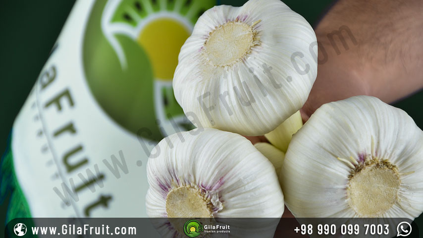 Why buy Persian garlic from Gilafruit