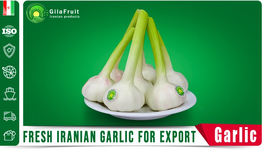 Hayvonlar bilan jinsiy aloqa