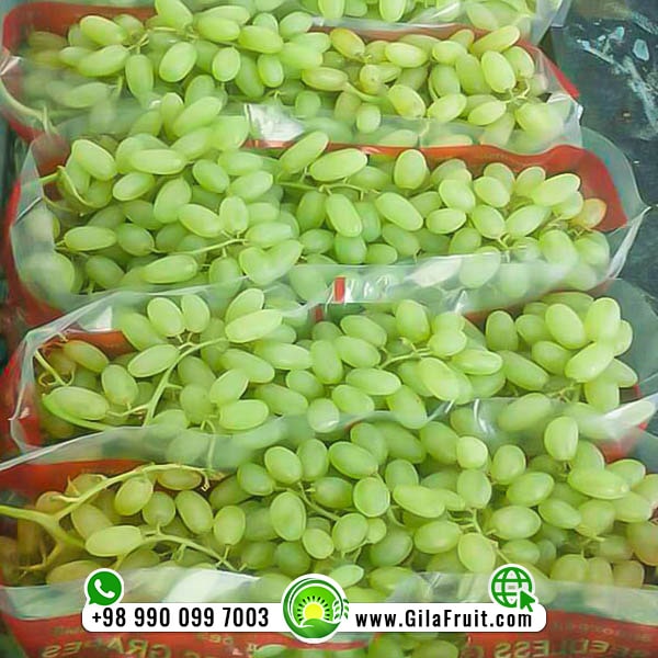 Iranian grapes for export