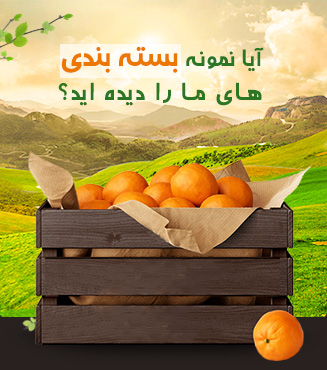 بسته بندی