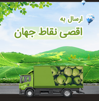 خدمات ترخیص