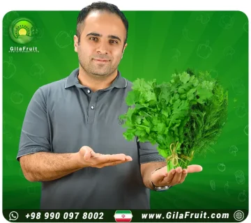 الخضار والبقدونس الايراني