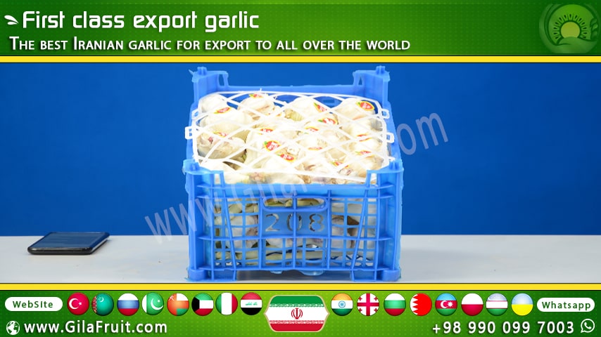 Iranian export garlic