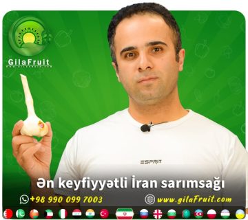 İran sarımsağı al