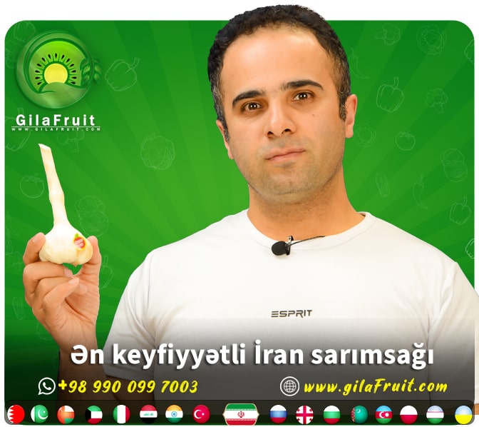 İran sarımsağı al