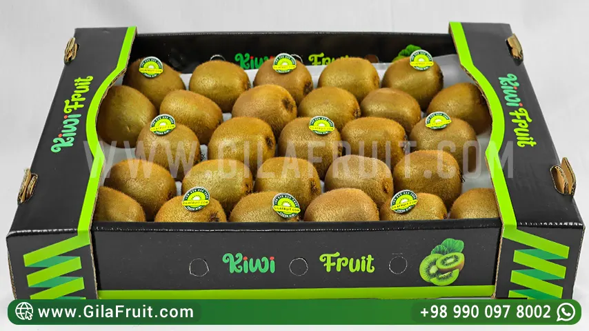 kiwi export