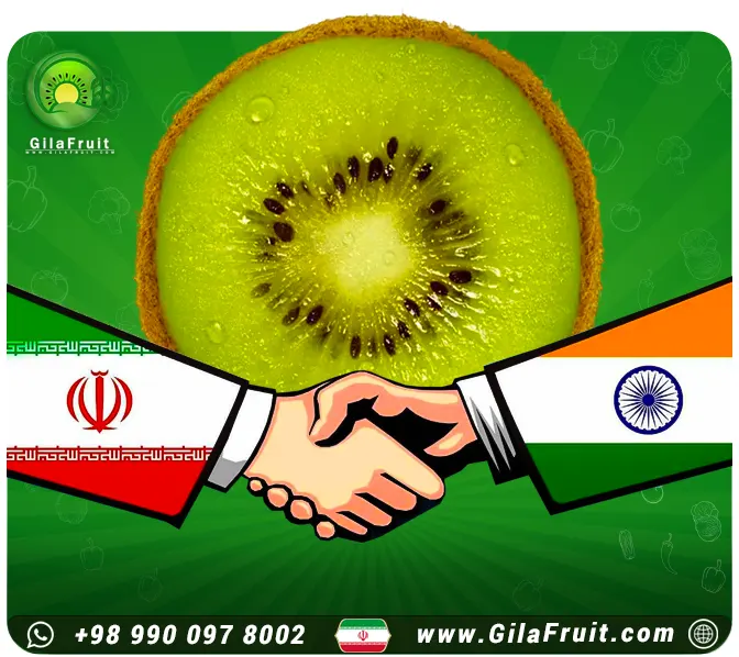 رفع ممنوعیت کیوی ایرانی به هند