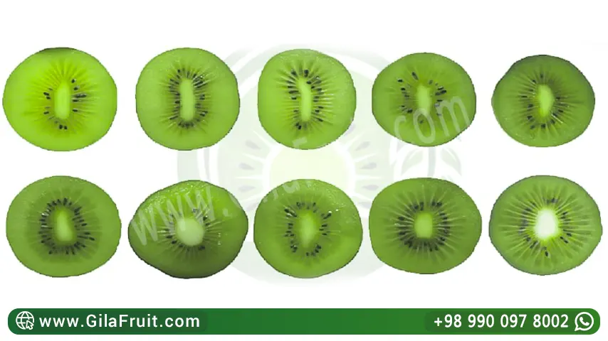 Kiwi sorting machine