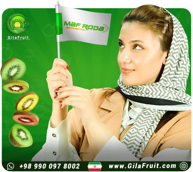 سورت کیوی براساس کالیبر