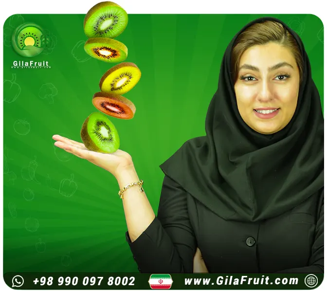 انواع میوه کیوی صادراتی