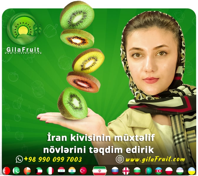 kivi növləri