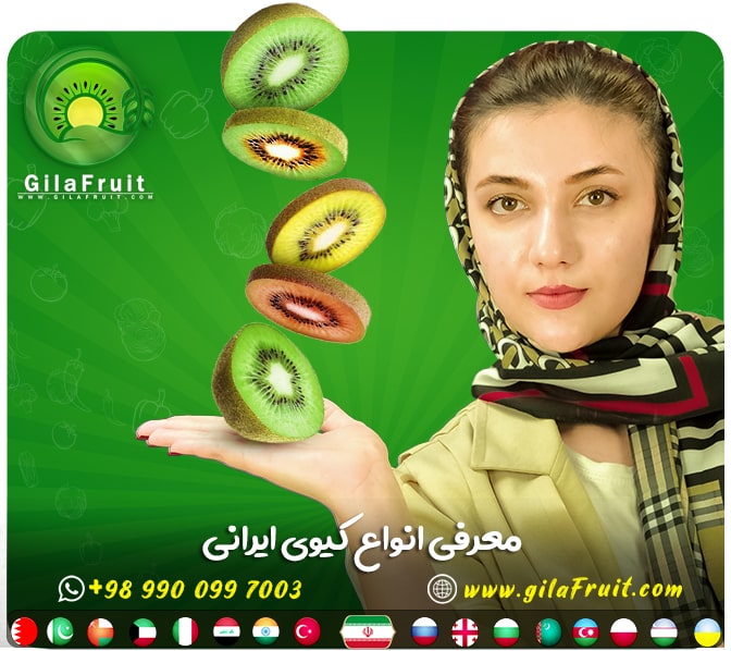 انواع میوه کیوی