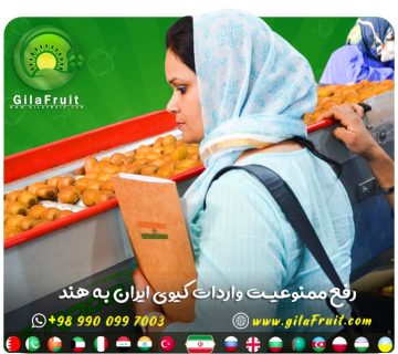 رفع ممنوعیت کیوی ایرانی