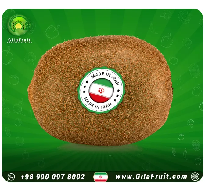 Iranian kiwi is exported all over the world