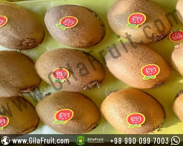 Pack of 12 kiwis iran