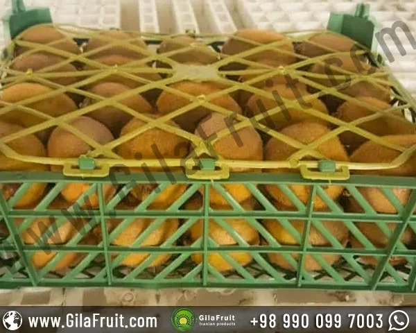 Iranian kiwi in 4 kg plastic basket packaging