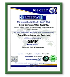Gilafruit gila fruit export Fruits and Vegetables export kiwi sell kiwi