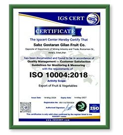 Gilafruit gila fruit export Fruits and Vegetables export kiwi sell kiwi