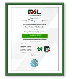 Gilafruit gila fruit export Fruits and Vegetables export kiwi sell kiwi