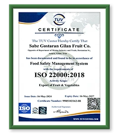 Gilafruit gila fruit export Fruits and Vegetables export kiwi sell kiwi