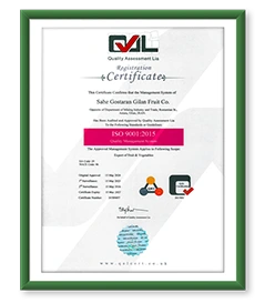 Gilafruit gila fruit export Fruits and Vegetables export kiwi sell kiwi