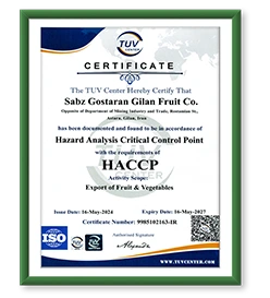 Gilafruit gila fruit export Fruits and Vegetables export kiwi sell kiwi