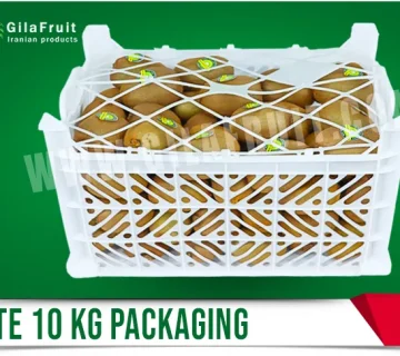 10kg kiwi basket, kiwi basket packaging, Iranian kiwi, export Iranian kiwi, kiwi packaging