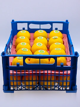 Meva qadoqlash, meva eksporti, Eksport, Svieklik