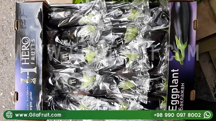 تصدير الباذنجان, الباذنجان الإيراني, التصدير العالمي, أسعار تنافسية