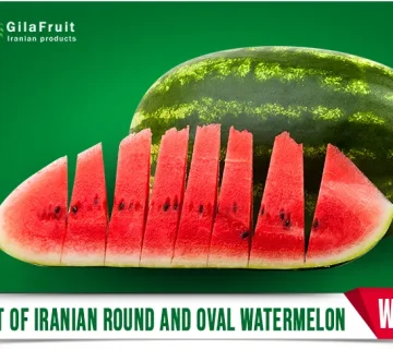 Iranian watermelon,
Iranian watermelon export,
Iranian watermelon prices,
export watermelon from Iran,
buy Iranian watermelon