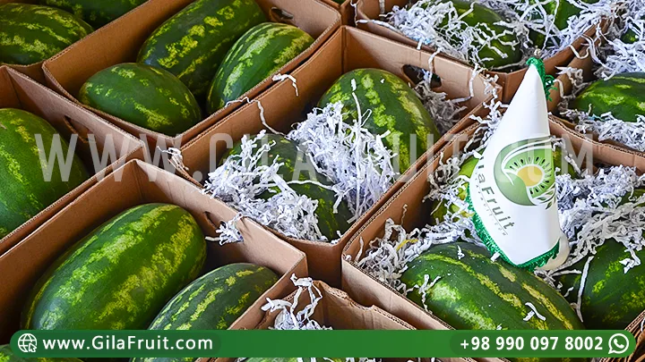 Iranian watermelon, Iranian watermelon export, Iranian watermelon prices, export watermelon from Iran, buy Iranian watermelon
