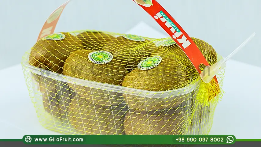 تصدير الكيوي الإيراني, الكيوي الإيراني, عالي الجودة, أسعارًا تنافسية,