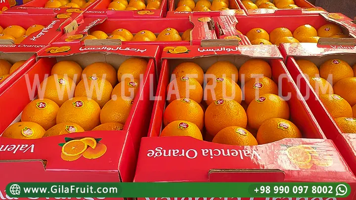 البرتقال الإيراني, تصدير, سعر البرتقال الإيراني, الفاكهة