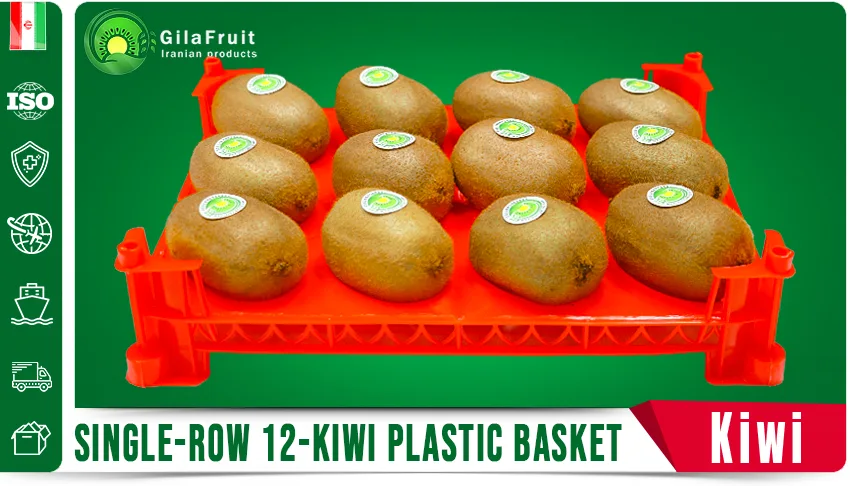 Iranian kiwi packaging,
single row kiwi packaging,
kiwi export packaging,
Iranian kiwi supplier,
buy Iranian kiwi
