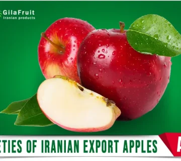 Varieties of Iranian Export Apples in gilafruit co 1 360x320