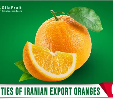 Iranian oranges, Iranian orange supplier, export Iranian oranges, buy Iranian oranges, price of Iranian oranges