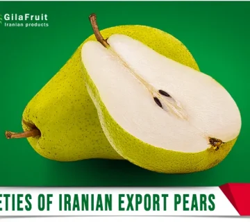 Iranian pear,
Iranian pear export,
Iranian pear supplier,
price of Iranian pears,
buy Iranian pear
