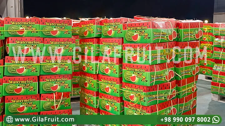 gilafruit watermelon