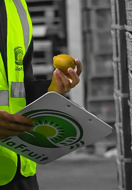Haqimizda, Eron kiwisi, Eron meva va sabzavot eksportchisi, Global Logistika