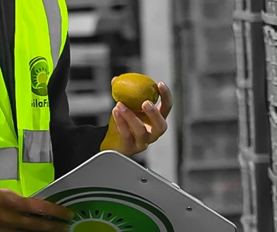 Mahsulotlar va Sifat, Eron mevalari, Eron sabzavotlari, Eksport Sifati, Mahsulot Sifati