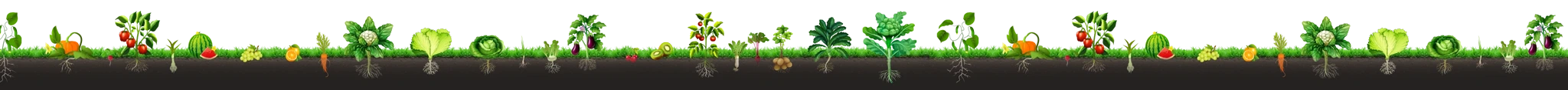 Bgrow foteer v2 4 2