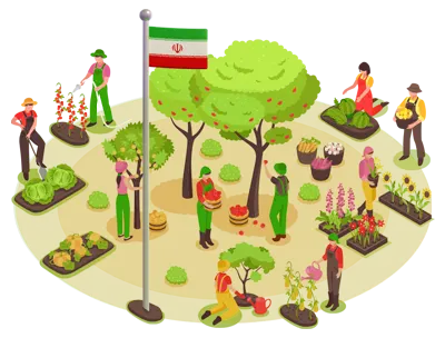 Gilafruit gila fruit export Fruits and Vegetables export kiwi sell kiwi