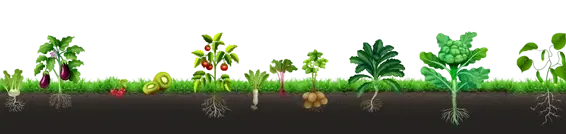Bgrow foteer v2 4 2mini 1