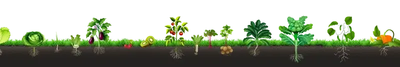 Bgrow foteer v2 4 2mini TABLET