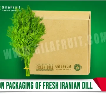 Carton packaging of fresh Iranian dill 1 360x320