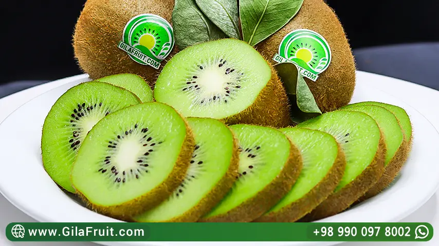کیوي الهایفارد الأخضر